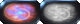 Dissolving Vitality