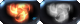 Prototype Biotoxin