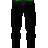 Blue Tulips Pants
