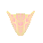 Pink Thong of Mister Tharaldsen