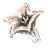 Flower from Datura Inoxia