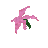 Pink Desert Orchid