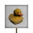 Birthday Placard - Duckie!