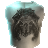 White Shirt with Clan Symbol