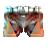 Orange Swimmingtrunks